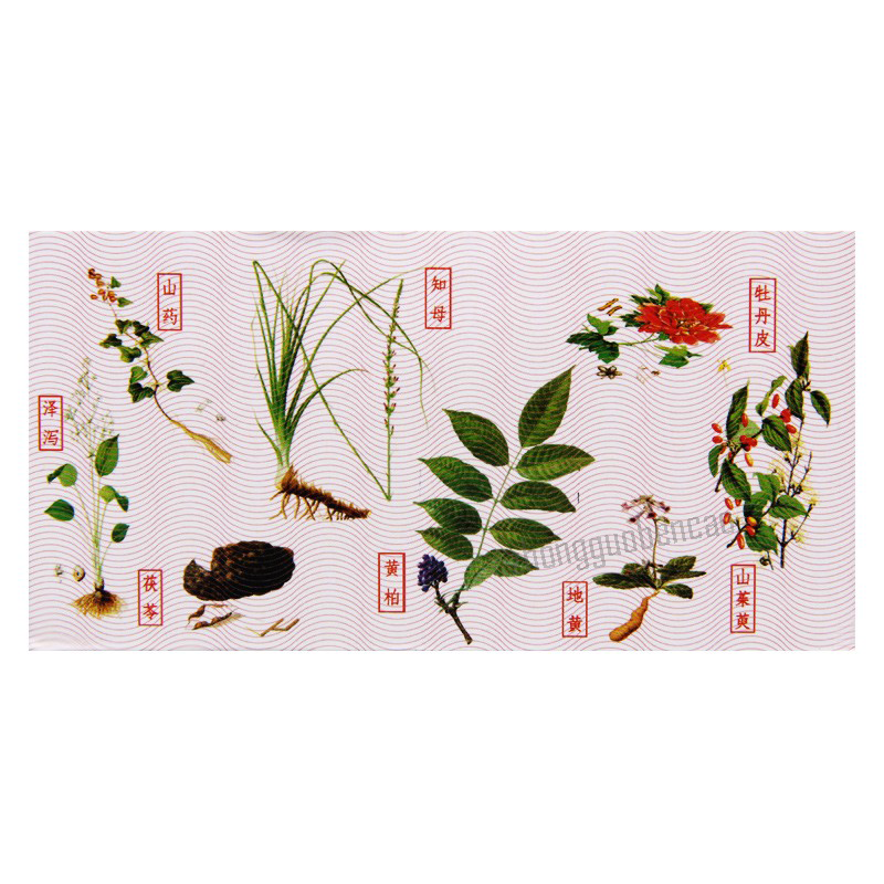 Zhongjing Zhibai Dihuang Wan 仲景知柏地黄丸