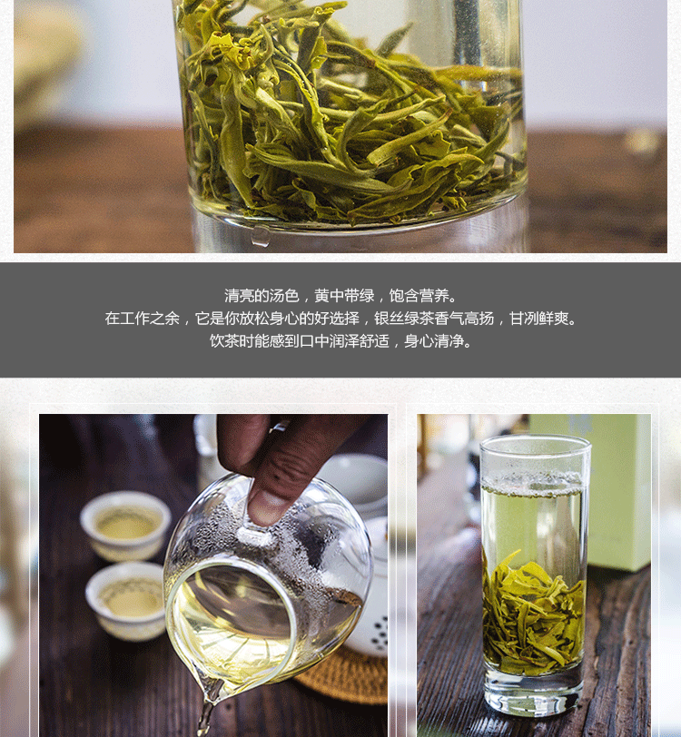Organic Early Spring Snowy Mountain Maofeng Wild Silver Tips Yunnan Green Tea