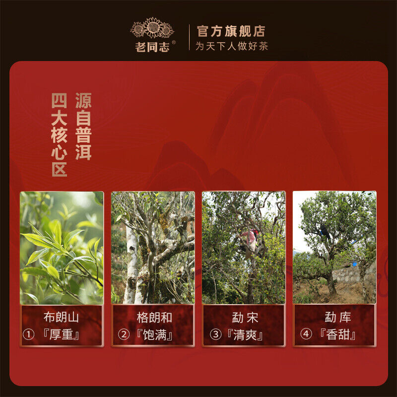 HelloYoung Haiwan Zodiac Bull Ripe Puerh Bring You Joy and Luck Shu Pu Er Tea 400g