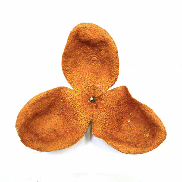 HelloYoung XinHui Chen Pi MuZhou Producing Area Half Red Dried Tangerine Peel Tea 50g