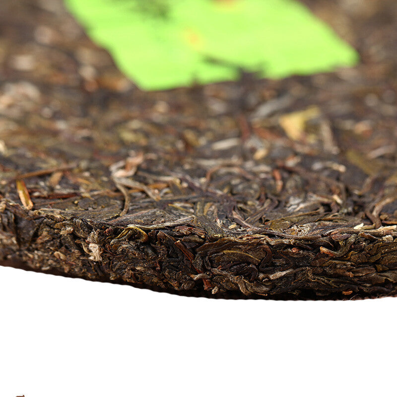 357g Pu-erh Raw Tea Bang Long Hua Zhu Liang Zi Spring Xiaguan Tea