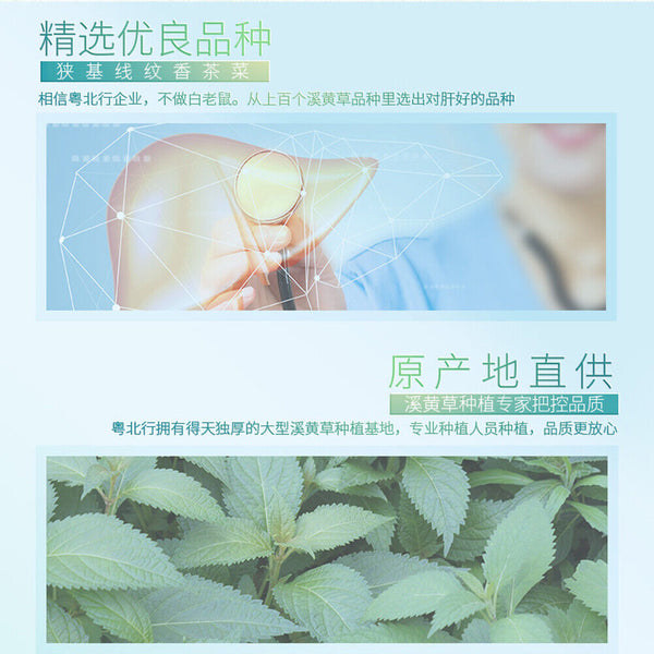 Xi Huang Cao Cha Organic Health Care Green Food China Health Herbal Tea 200g