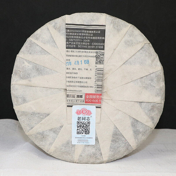 HelloYoung Haiwan Zhang Jia San Dui Puer Raw Tea Bulang Famous Mountain Aged Tree 500g