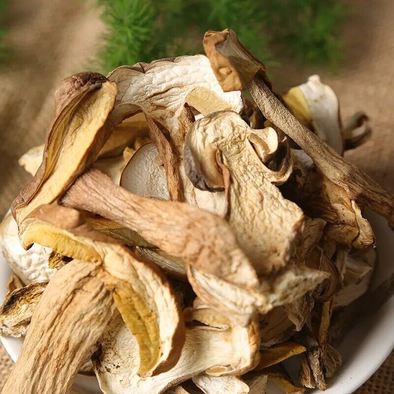 HelloYoung 牛肝菌 |Boletus Eduli |Bolete |NON-GMO Porcini Mushrooms, Dried Bulk | 250g