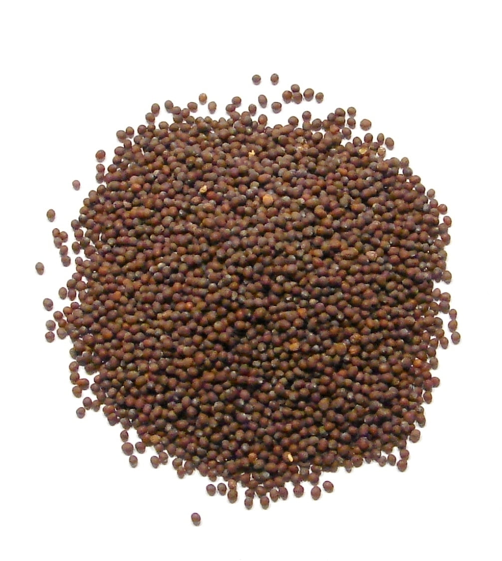 Brown Mustard Seed - 2 lb - Whole, Hotter than Yellow Mustard Seed