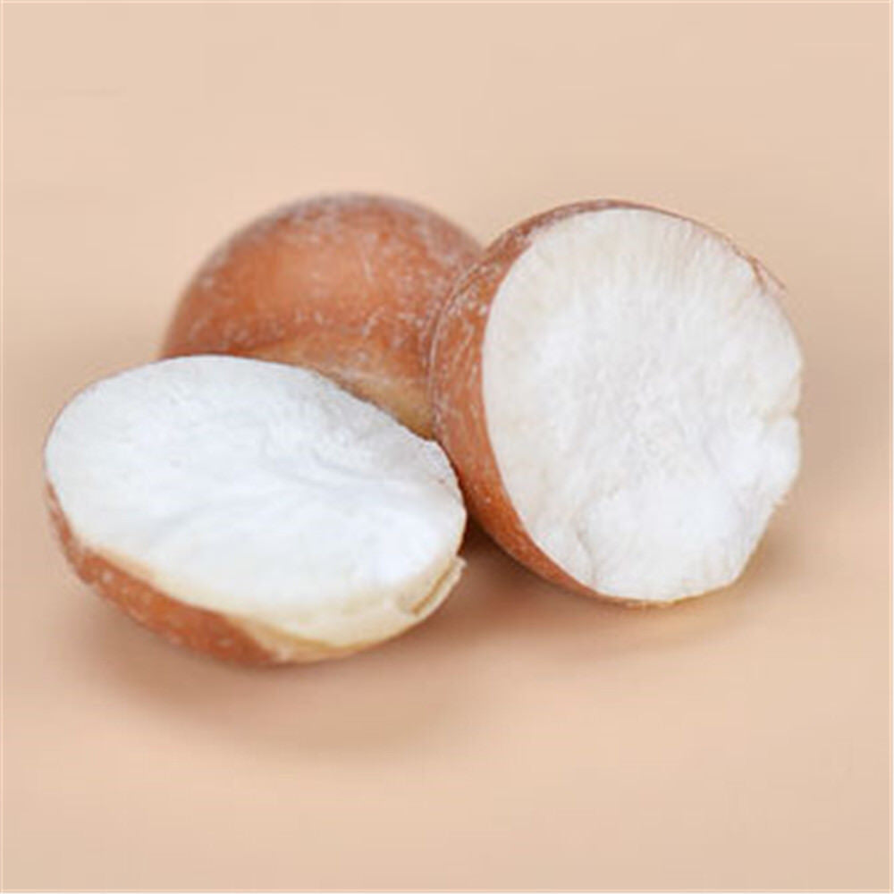 HelloYoung 500g organic high quality fox nuts barley Uriar Schleichanshi dried nuts