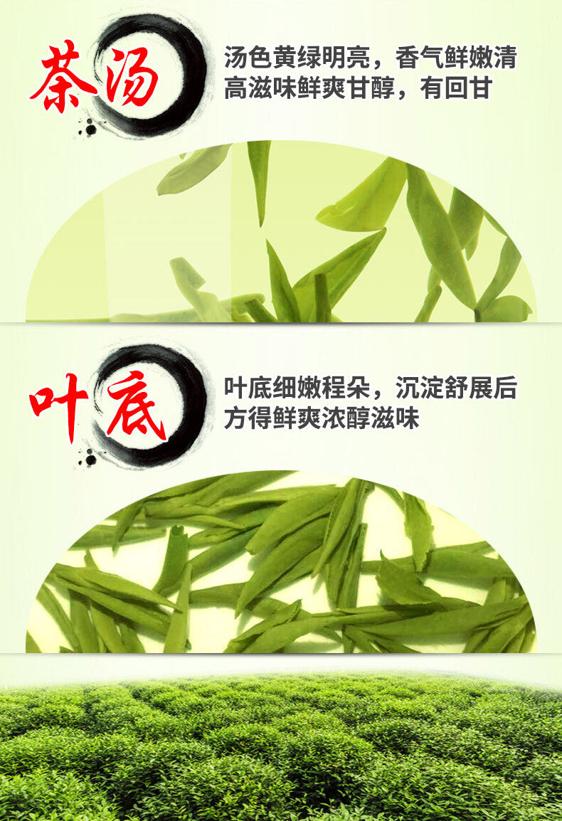 TemuTea 250g  Longjing Tea Chinese Premium Dafo Long Jing Dragon Well Green Tea