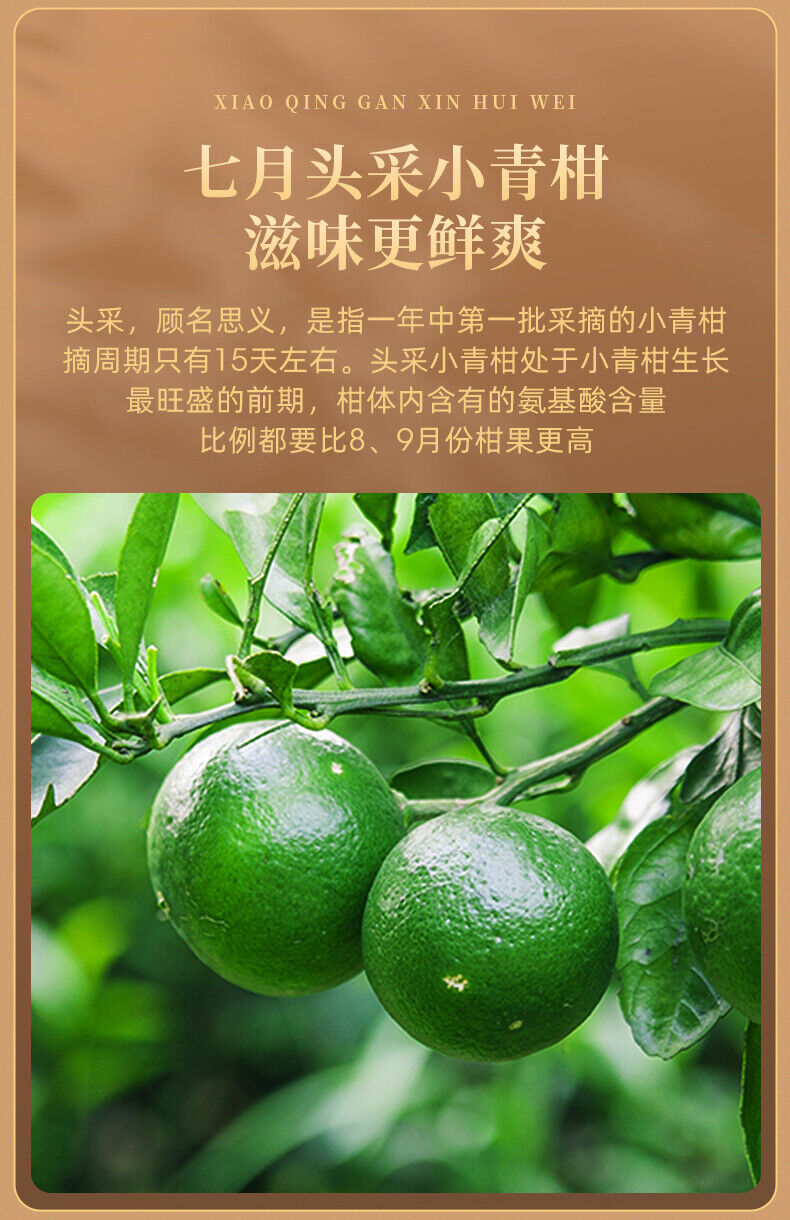 HelloYoung EFUTON Brand Chenpi Orange Pu'er Yunnan Pu-erh Tea Stuffed Tangerine Ripe 230g
