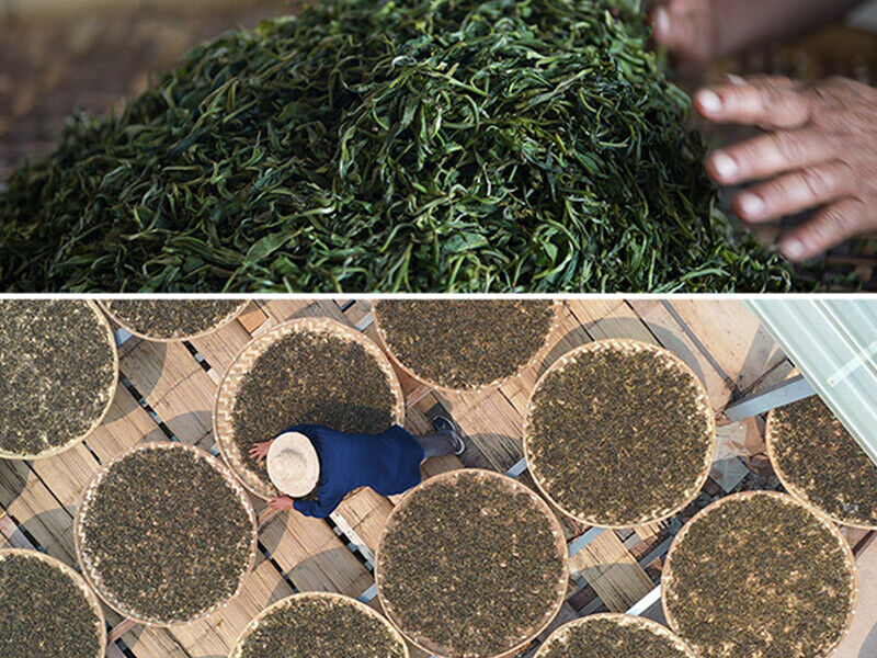 HelloYoung Haiwan 9978 Ripe Pu-erh Tea (Batch 211) Old Comrade Shu Puer Tea 357g