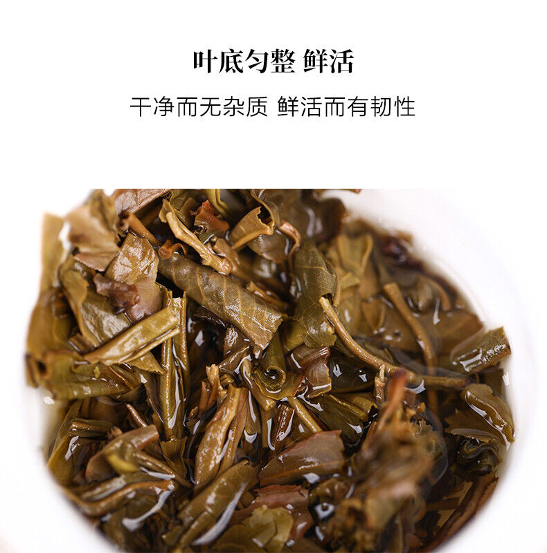 HelloYoung Haiwan Old Comrade Shen Pu-erh "Cang Cui" Pu'er Raw Puer Brick Tea 150g/Box