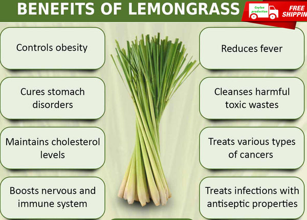 Pure Natural Organic for Enhance Flavor Dried Lemon Grass Leaves Ground Powder