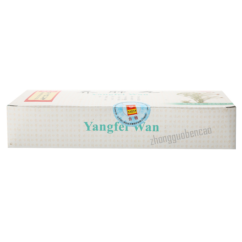 Tongrentang Yang Fei Wan Tongrentang Yangfeiwan同仁堂养肺丸10丸/盒装