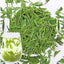 HelloYoung New Spring Organic Tea Chinese Longjing Green Tea Dragon Well Green Tea 500g