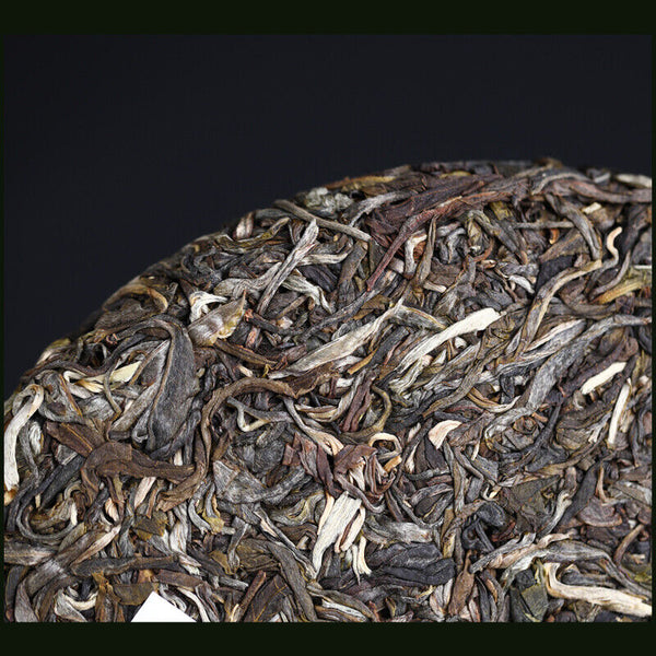 HelloYoung Haiwan Zhang Jia San Dui Raw Puer Tea Bulang Mountain Sheng Puerh 500g