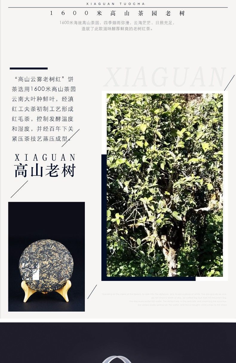 HelloYoung TeaXiaguan Yunnan Kung Fu Dian Hong Red Tea Old Tree Black Tea Dianhong 200g