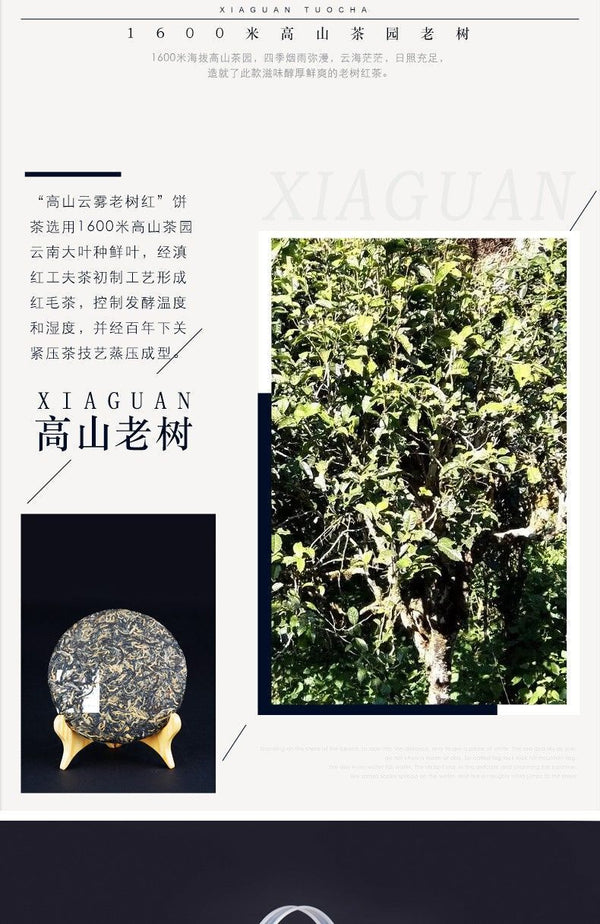 HelloYoung TeaXiaguan Yunnan Kung Fu Dian Hong Red Tea Old Tree Black Tea Dianhong 200g