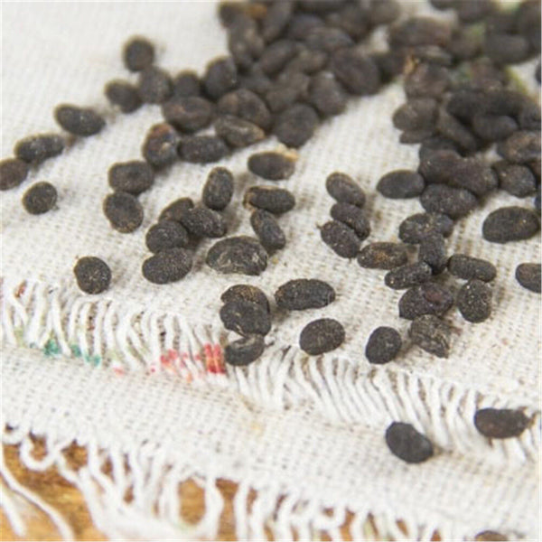 HelloYoung Natural Bu Gu Zhi Ecology Herbal Medicine Psoralea Fruit Chinese Herbal Tea 100%