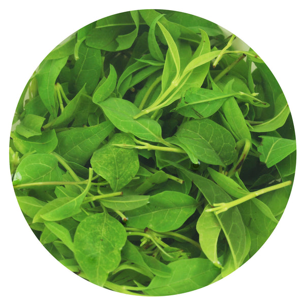 HelloYoung HELLOYOUNG 100g Supreme Kuding Bitter Herb Green Tea Qingshan Lushui Small-leaf