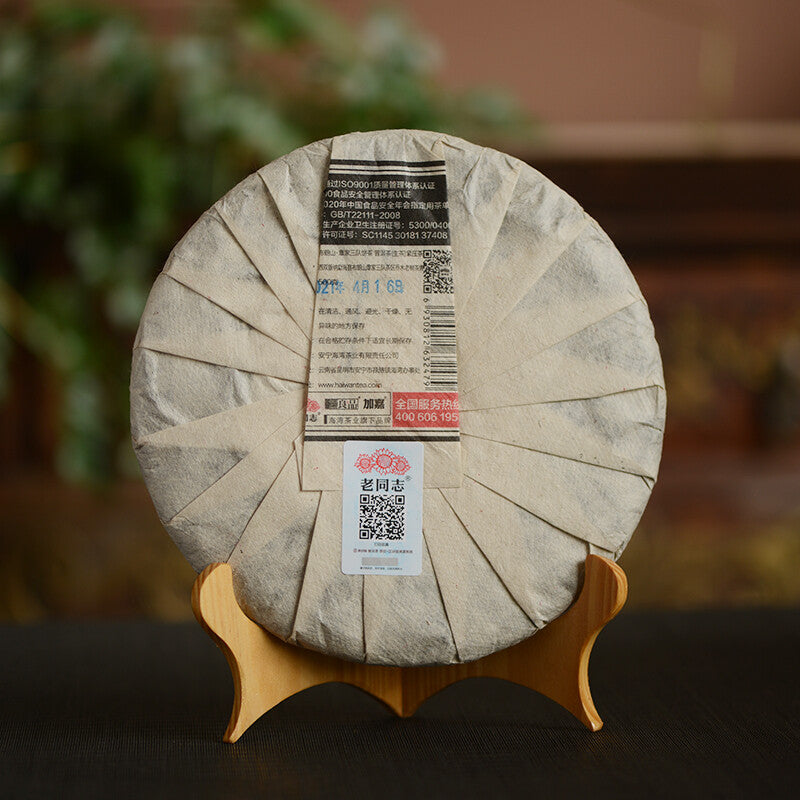 HelloYoungTea 2021 Haiwan Zhang Jia San Dui Bulang Mountain Old Trees Raw Puer Tea Pu-erh 500g 2021年海湾“章家三队”布朗山老树生普洱 普洱茶 500克
