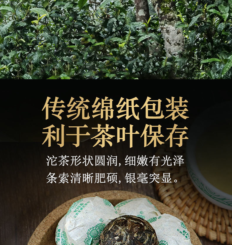HelloYoung HAIWAN Old Comrade Qiao Mu Tuo Pu-erh Tea Tuo Raw Puer Mini Lao Tong Zhi