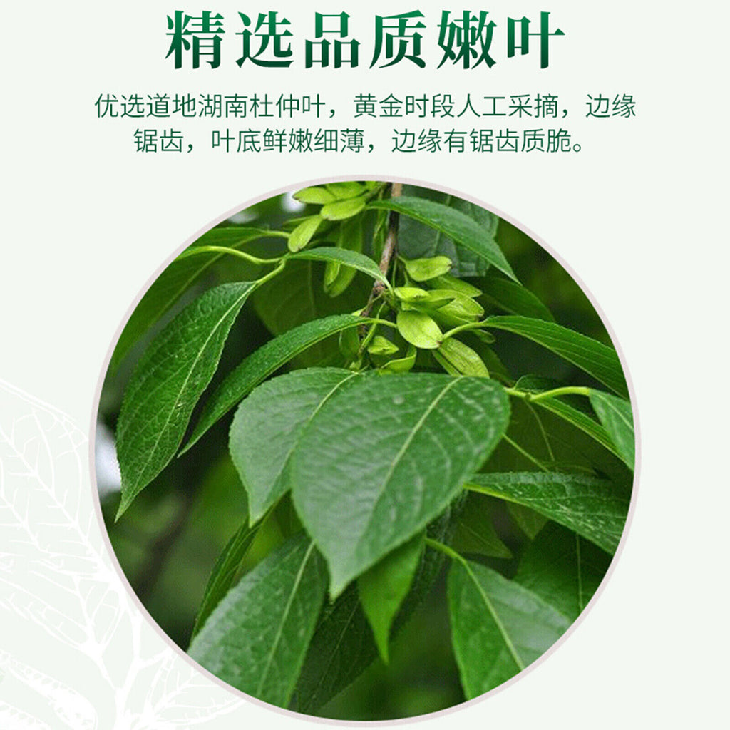Tea Berbal Tea Health Care Green Food 125g/4.4oz Natural Du Zhong Ye Eucommia
