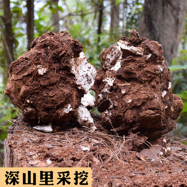 HelloYoung Poria Cocos Used for Soup Porridge Health Care Natural Organic Herbal Tea 500g