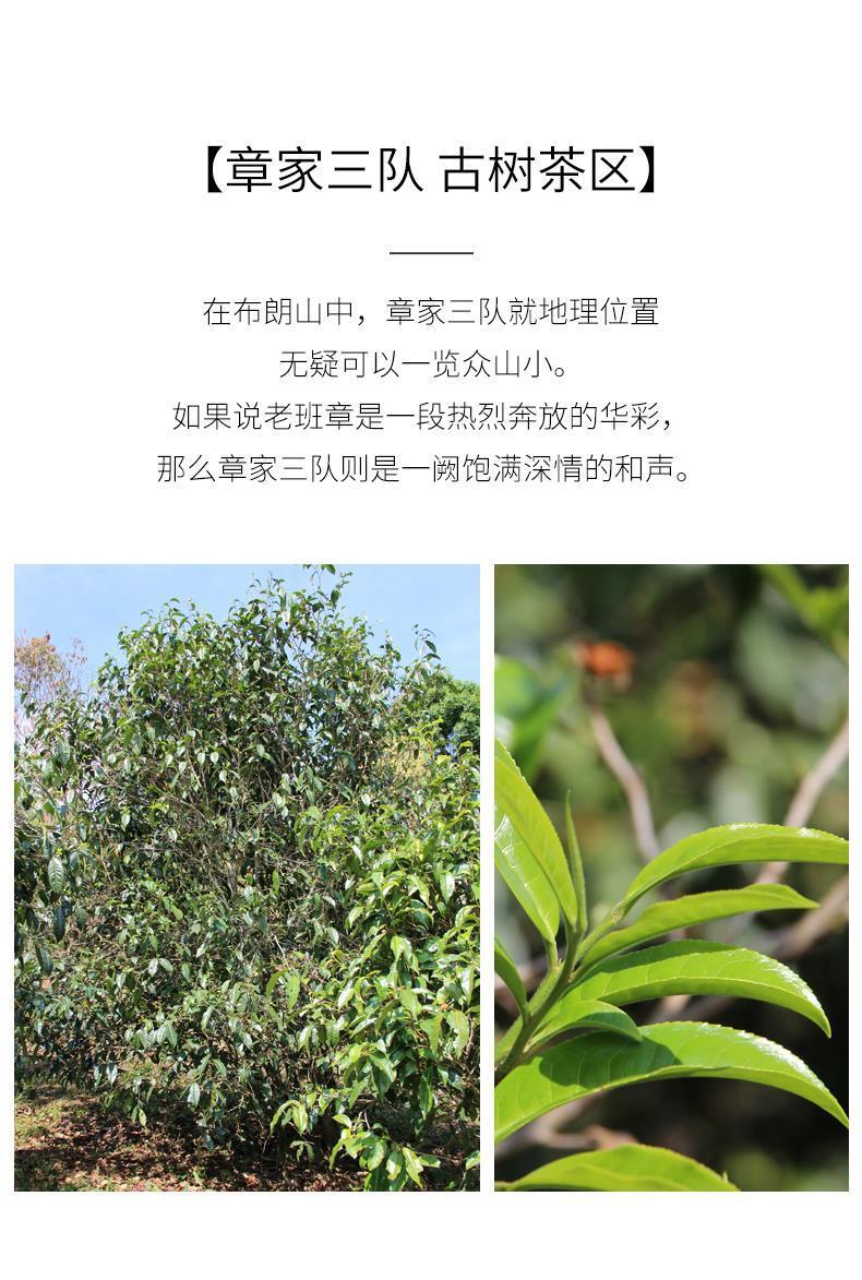 HelloYoungTea 2021 Haiwan Zhang Jia San Dui Bulang Mountain Raw Puer Tea Old Trees Puerh 500g