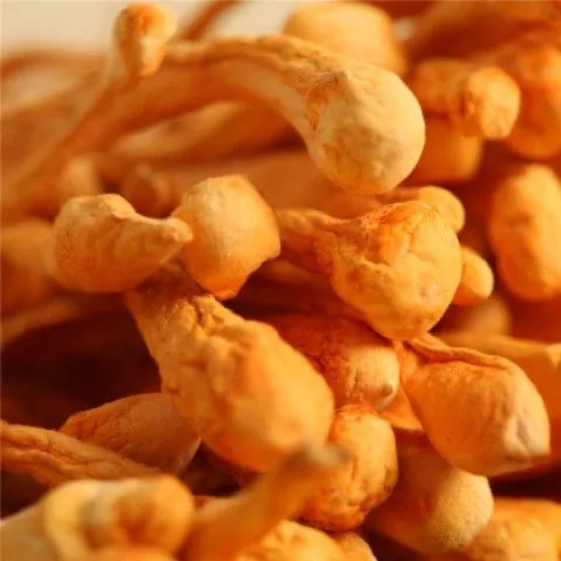 HelloYoung 250g Organic Cordyceps Sinensis Dried Mushroom Chinese Tradition Medicine Main image