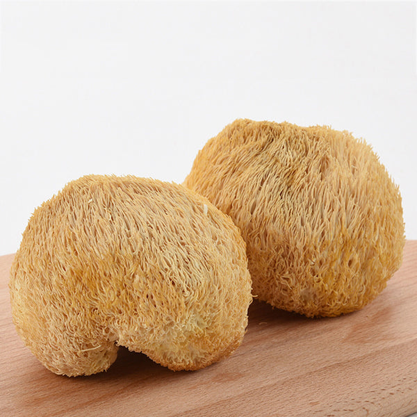 HelloYoung Original Houtougu China Herbal Health Care250g Organic Dried Hericium Erinaceus