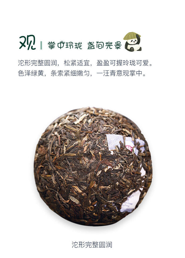 HelloYoung TAETEA Brand Panda Pu-erh Tea Tuo 100g Raw Menghai Dayi Pu'er Tuocha