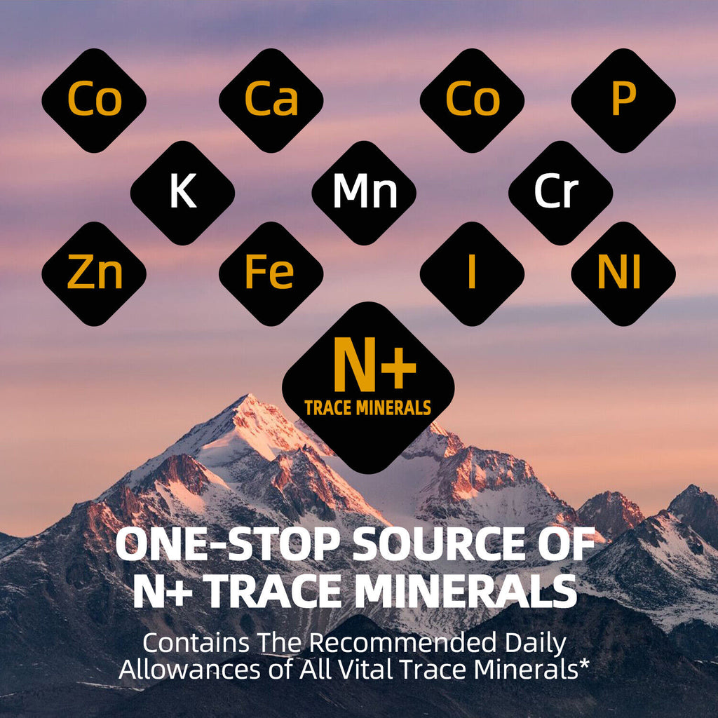 Himalayan 100% Pure Shilajit, Extremely Potent Soft Resin, Organic, Fulvic Acid
