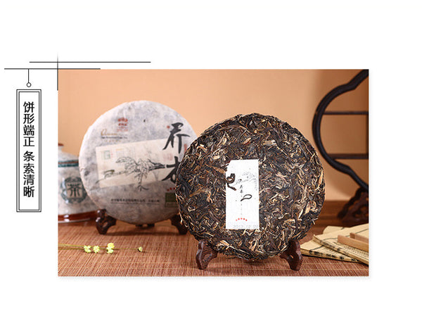 2013 Qiaomu Puerh Tea Age-Fermeted Cake Tea Haiwan Puer Five Star Arbor Tea 357g