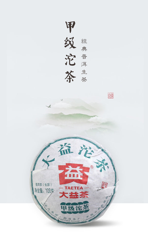 Classic Raw Pu'er Tea Jia Ji TuoCha Menghai TAETEA Dayi Tea Raw Pu-erh 500g