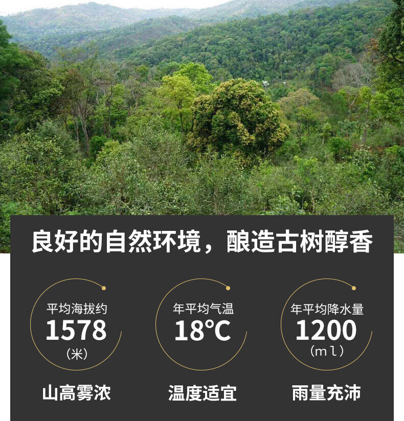 HelloYoung 250g DianHong Dr. Pu'er Tea Yunnan Black Tea Ancient Tree Dian Hong Tea Brick