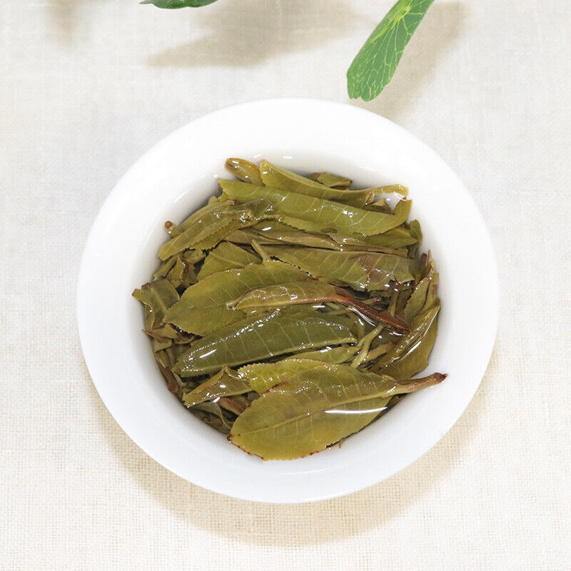 HelloYoung Yunnan Lincang Big Snow Mountain Big Tree Spring Puer Pu'er Tea Raw 357g