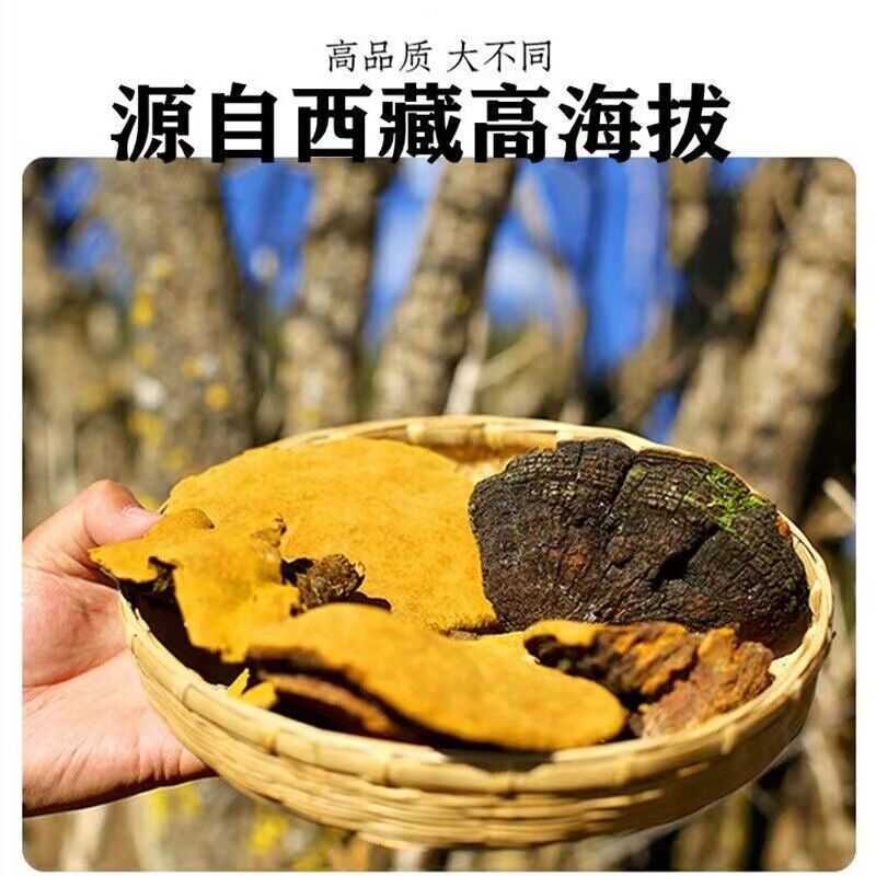 HelloYoung Tibetan wild mulberry ganoderma lucidum 100g