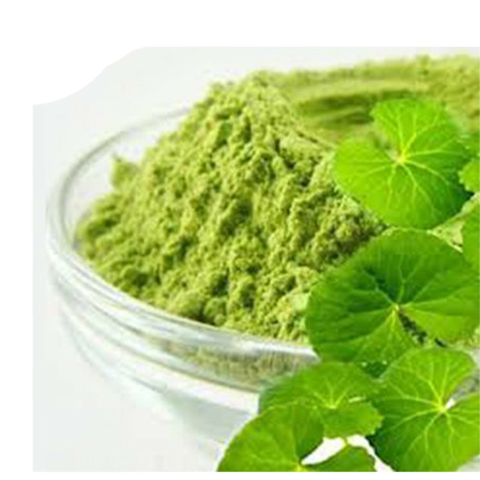 Gotukola,Brain Booster Organic Pure Dried Centella Asiatica Leaves Ground Powder Main image
