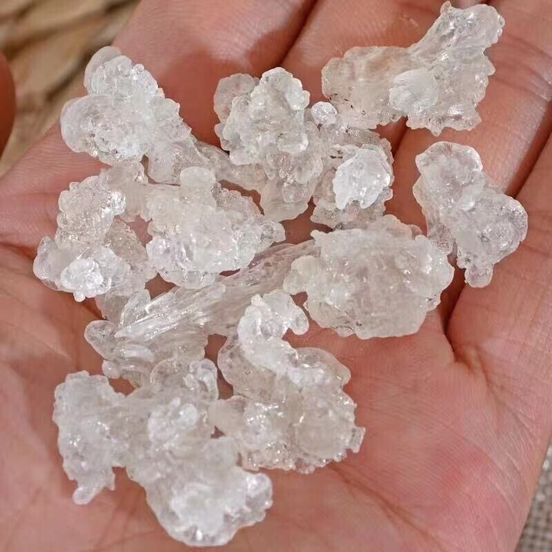 HelloYoung Natural Dried Gum Tree Secretion 雪燕 Xueyan Xue Yan, Snow Bird Nest Tao Jiao
