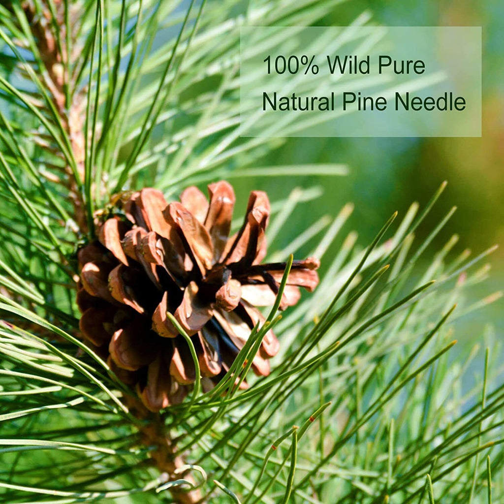 HelloYoung TEARELAE Pine Needle Tea Natural Masson Pine Needles Herbal Tea 142g