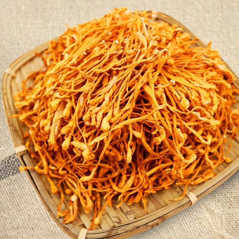 HelloYoung Dried Jin Chong Cao Herb Cordyceps Militaris Cordyceps Flower 虫草花