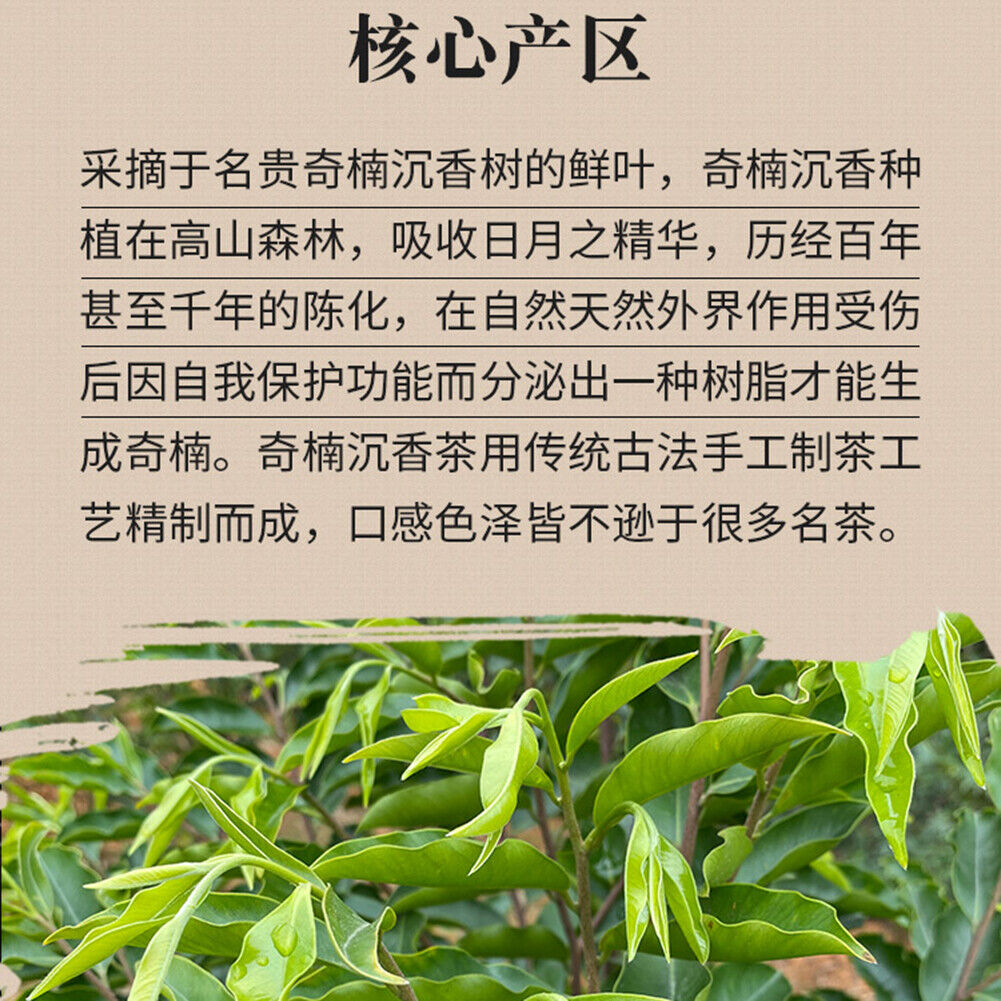 HelloYoung Natural Health Herbal Tea 沉香茶叶 Qinan Chenxiang Tea 奇楠沉香代用茶生茶 安神助眠茶祛湿茶调理茶养生茶 250g