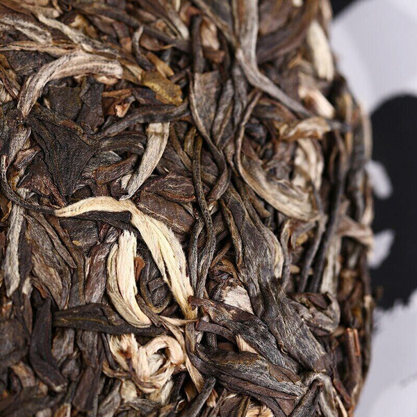 HelloYoung Yunnan Aged Tree Old Comrade Sheng Puer Tea Haiwan Yun Hai Raw Puer 400g