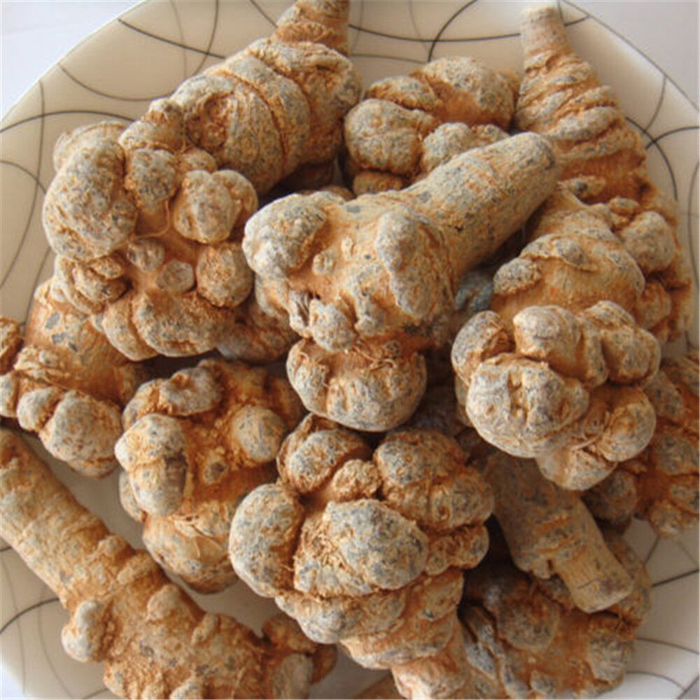 HelloYoung Organic High Quality Notoginseng Sanqi Powder Sanchi Tienchi Ginseng Root 3.52oz