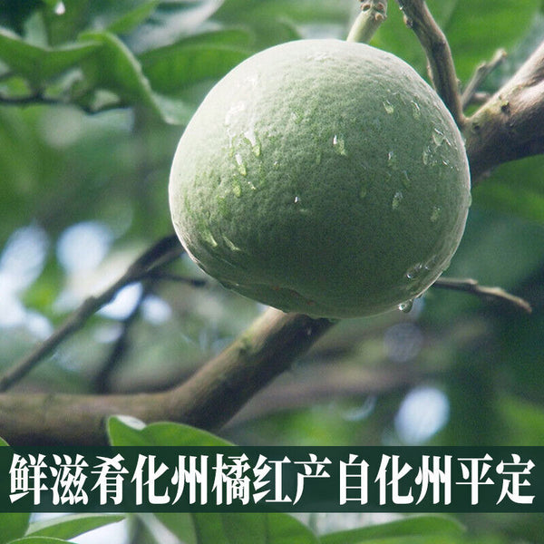 HelloYoung Chinese Hua Zhou Ju Hong Huazhou Orange-red Aging Slices 100g