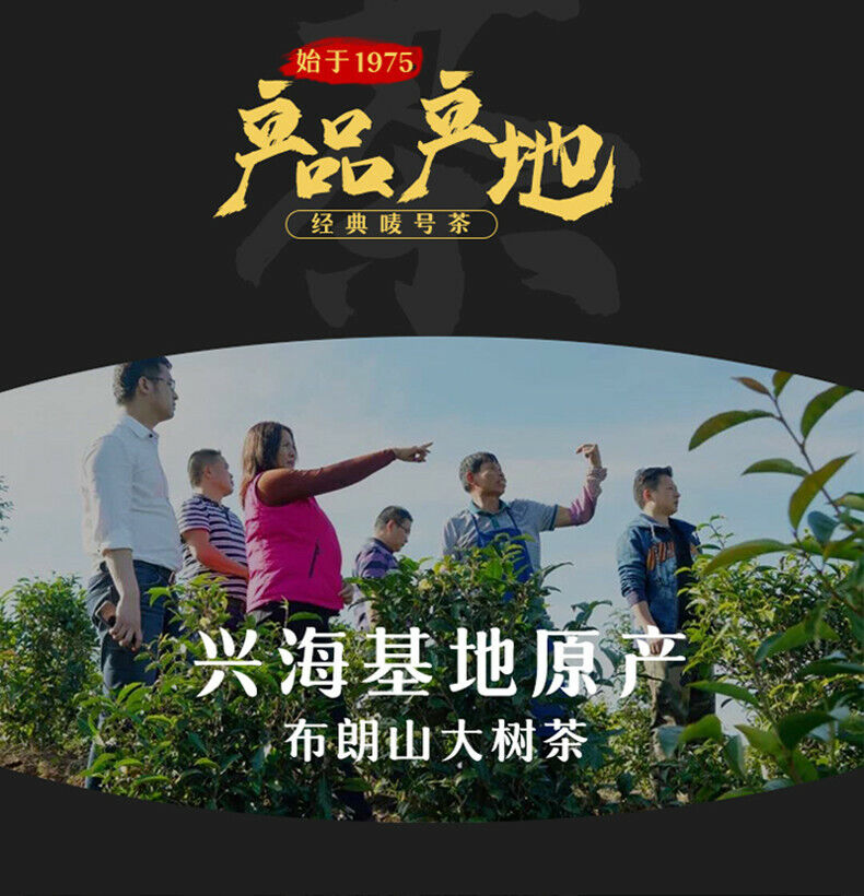 HelloYoung Xinghai 7533 Green Cake Raw Puerh Tea 357g Menghai Qi Zi Bing Puer Pu'er