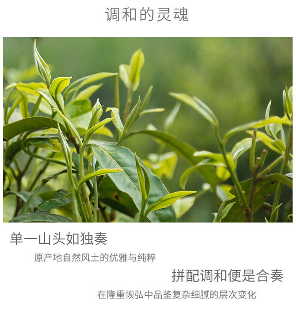 HelloYoung Haiwan "Liang Yuan Liang Yun" Premium Pu'er Tea Series Raw Pu-erh Tea 400g