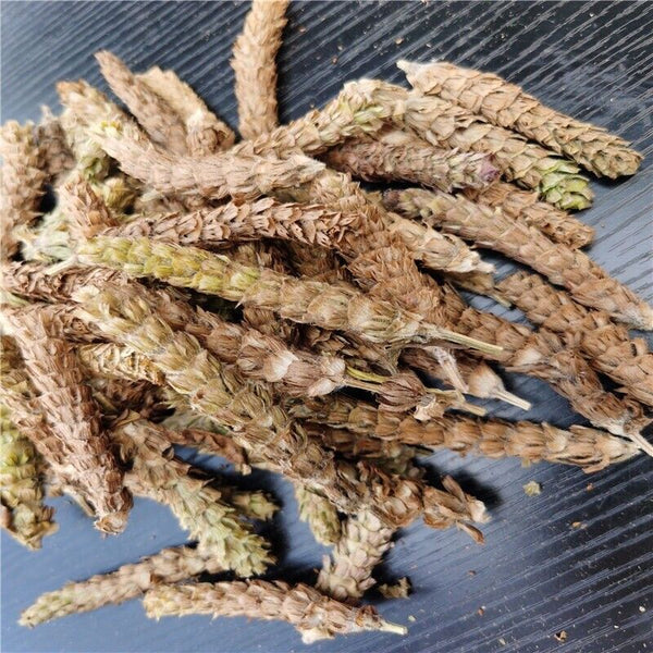 HelloYoung 夏枯草 Xia Ku CaoPrunella Vulgaris Chinese herbs Common selfhe Spica Prunellae