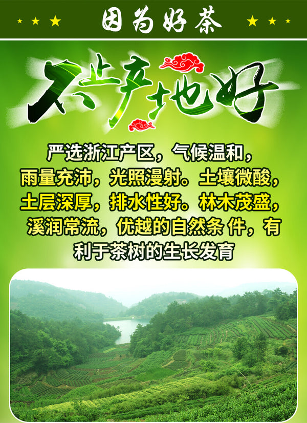 Longjing Loose Tea 250g Tin Chinese Premium Dafo Long Jing Dragon Well Green Tea