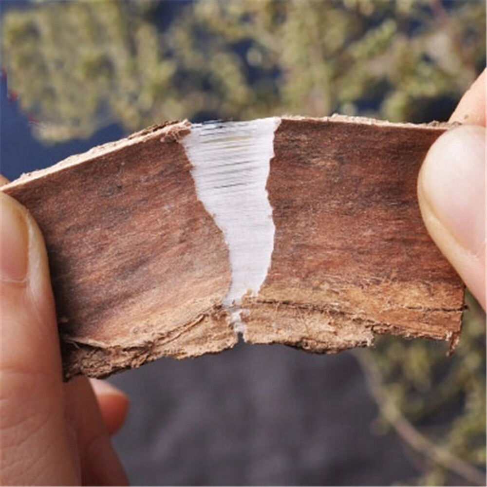 HelloYoung 100% Natural Ocmia Bark / Dried Ocmia Cortez Bulk