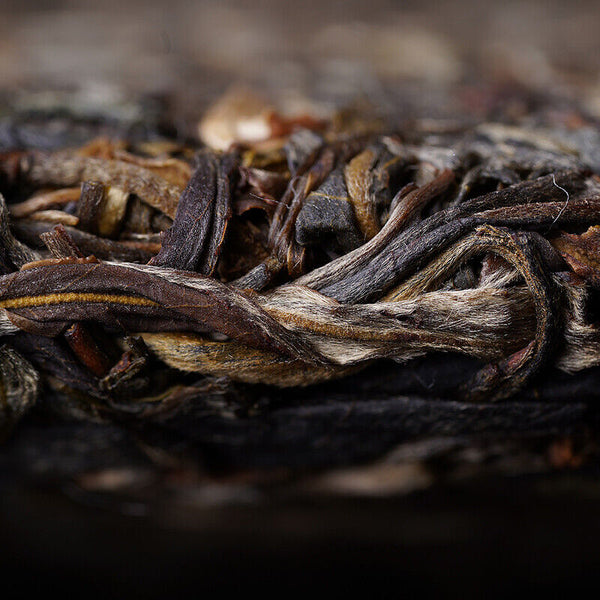 HelloYoung Haiwan Dong Guo Gu Shu Shen Puer Famous Mountain Old Tree Raw Puer Tea 500g